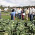 credaqee ryomzndl 2013 z17z.jpg